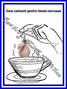 pescuit